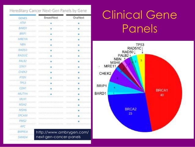 bracks test for gene breast cancer Bracks test for gene breast cancer